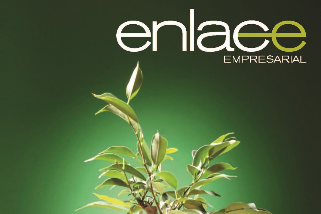 Revista enlace 192