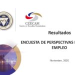 encuesta-perspectiva-nov2020