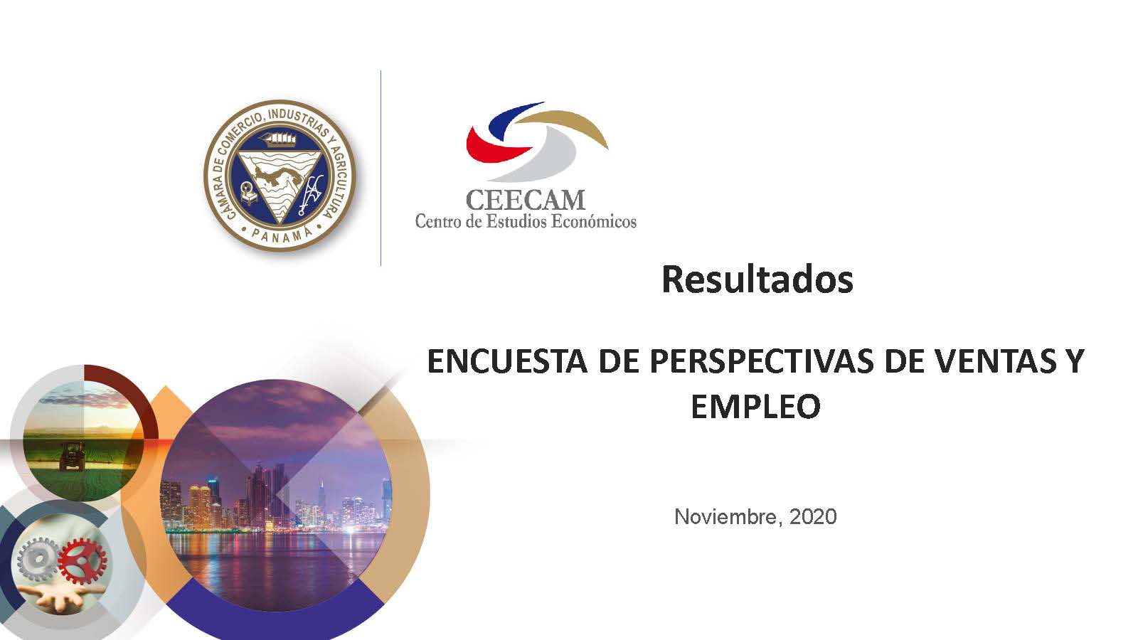 Encuesta de Perspectivas Económica al mes de noviembre 2020