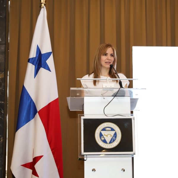 FORTALECIMIENTO INSTITUCIONAL PARA UN DESARROLLO NACIONAL SEGURO 