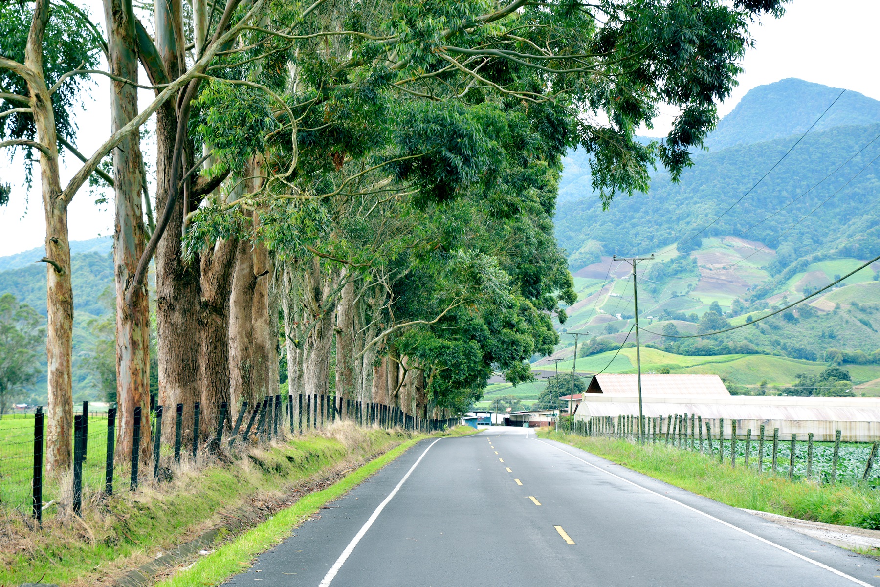 agro y turismo